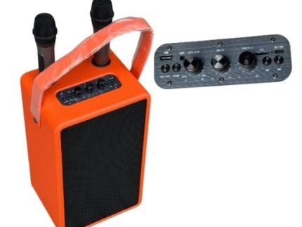 Enceinte Karaoke Portable M5502 : Son Stéréo Puissant avec 2 Micros Sans Fil & Recharge USB-C
