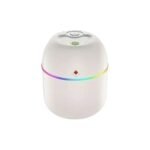 Humidificateur USB Coloré Porte-Bonheur